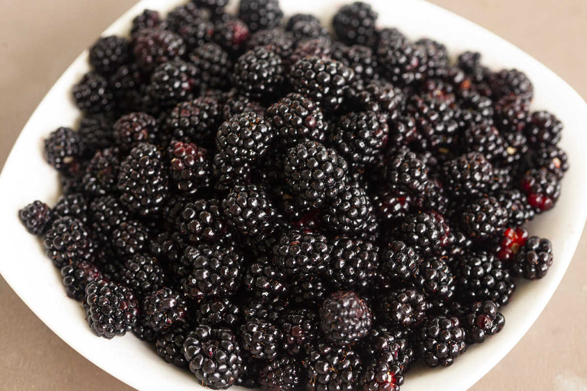 Blackberry_Cobbler_Recipe_blackberries