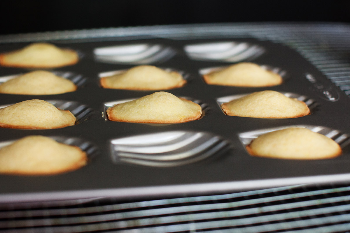 Classic Madeleines Recipe (les Madeleines de Commercy)