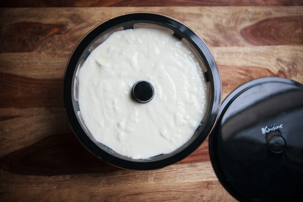 Instant Pot Greek Yogurt Recipe