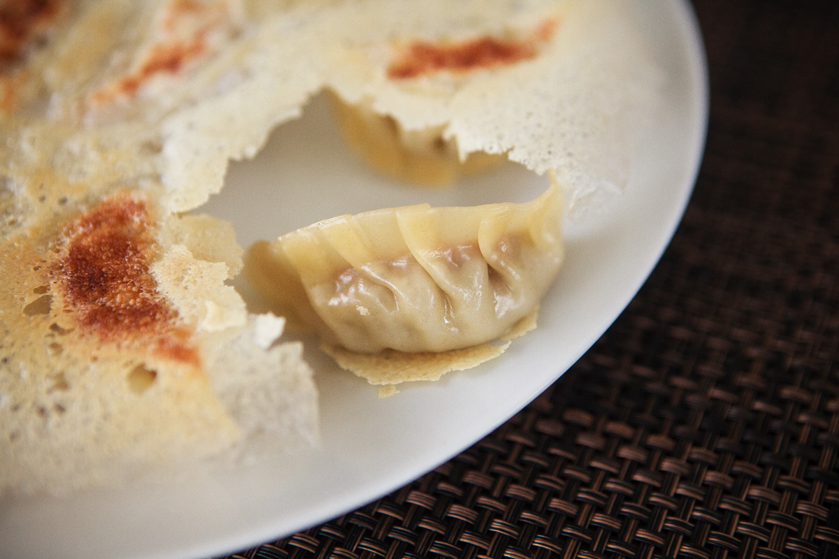 Gyoza with Crispy Lattice Recipe - Hanetsuki Gyoza