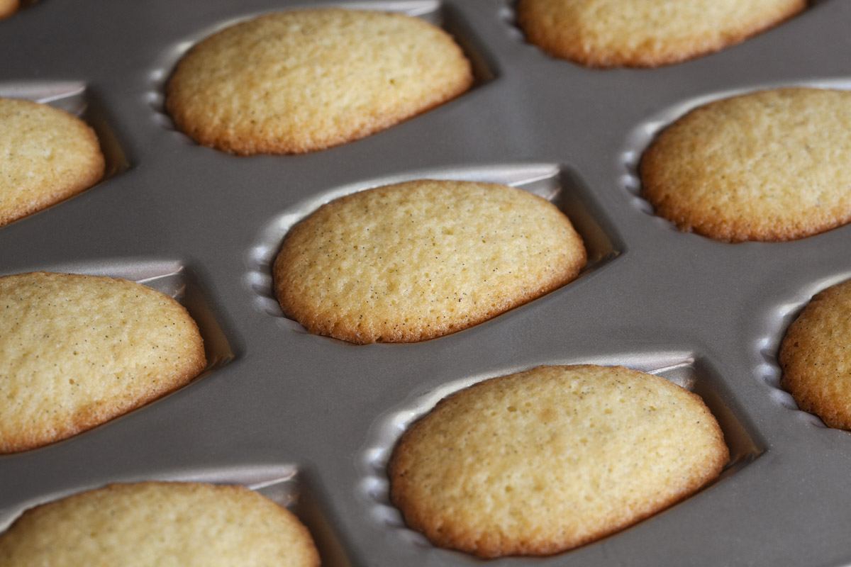 How to make Madeleines with Trader Joe’s Vanilla Cake Mix