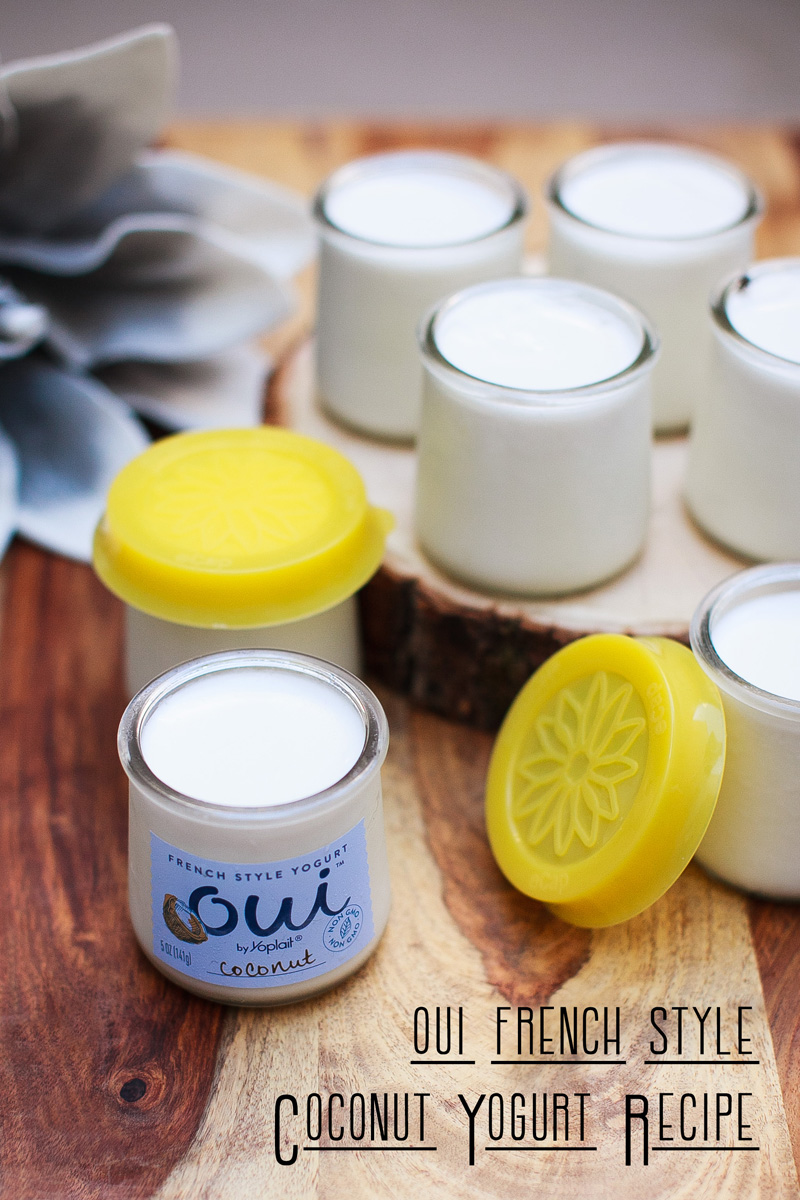 Oui Coconut Yogurt Recipe